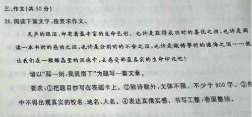 作文,那一刻,走進,再次