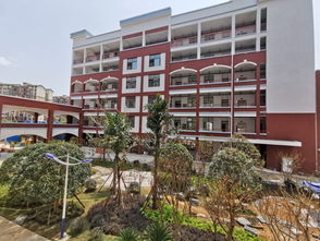 中山中學(xué)校園景物作文2