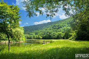 這么一個新校園作文600字