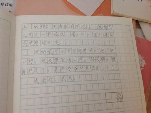 冬天校園的景色100字作文二級
