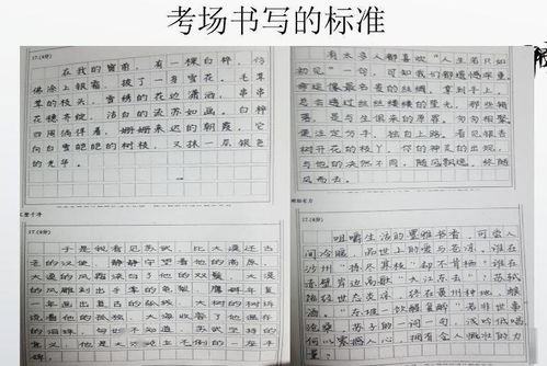 個子,校園,文三