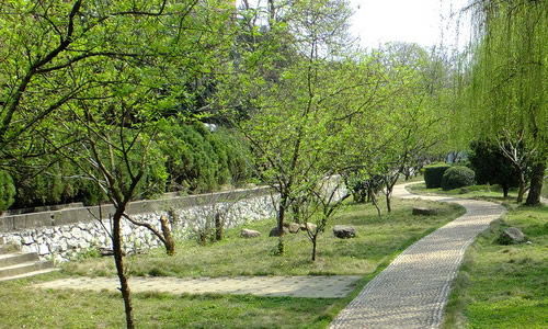 校園里的二三事作文500字