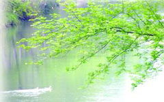 春天校園池塘作文