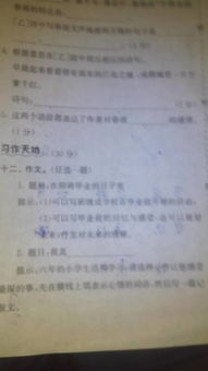 校園里的三八線戰(zhàn)爭作文