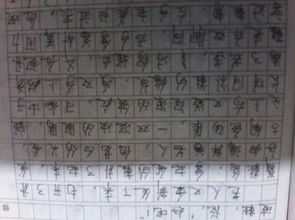 校園類(lèi)敘事作文初三600字作文