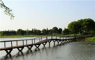 校園的橋作文600