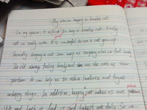 在校園養(yǎng)寵物觀點英語作文