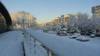 六級(jí)校園雪景作文600字