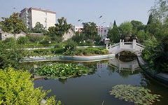 夏天的校園的作文300字,夏天的校園的作文800,夏天的校園真美作文