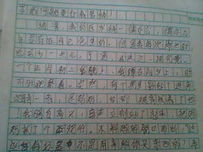 作文,雪中,校園