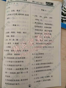 作文,小學(xué),校園