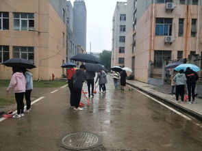 清掃大學校園作文