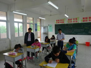 五級(jí)的校園欺凌作文