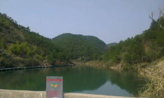 關(guān)于校園后山的作文怎么寫