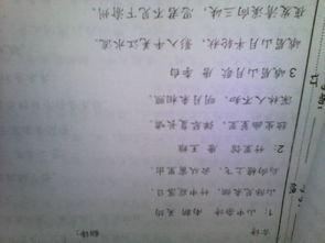 作文,校園里,百字,大學