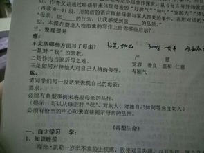 校園的作文300個字,校園的美作文300字,我們校園的作文300字