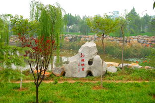 校園新景觀作文