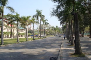 校園的早晨作文三