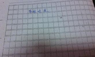 校園里的滋味作文800字