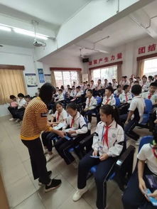 掃黃打非凈化校園環(huán)境作文