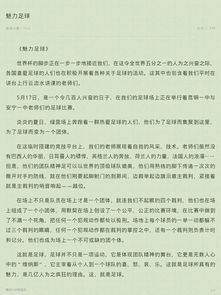 體現(xiàn)校園足球精神作文400字