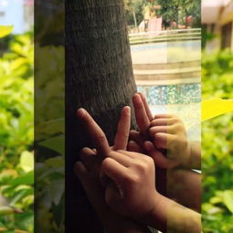 校園里的小角落作文