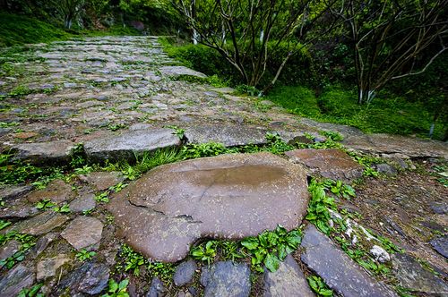 校園一日游作文600字