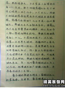 校園運(yùn)動(dòng)會(huì)作文300字作文