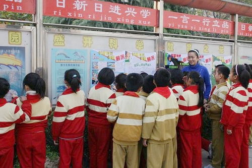 作文,小學(xué),校園,霍家街