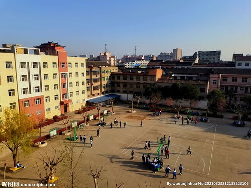 作文,風(fēng)景,美麗,校園