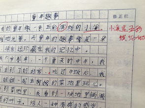 五彩繽紛的花園作文三級校園