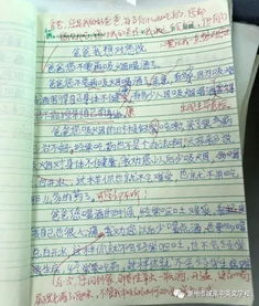 樂(lè)樂(lè)課堂作文校園周記大全