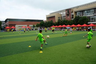 快樂的校園足球節(jié)作文