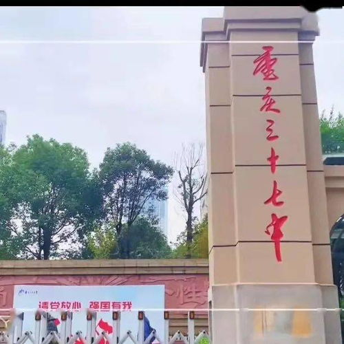 新校園的冬天700字作文