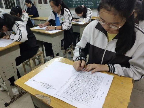 熱愛校園的作文高中