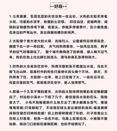 校園作文好段好句好詞