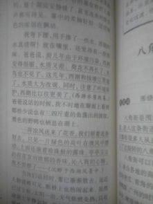 寫校園快樂游戲的作文100字