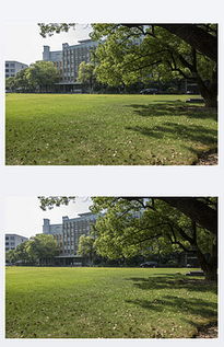 校園草坪作文400字,校園草坪作文300字大全,校園草坪作文500字