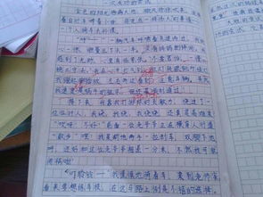 校園風(fēng)趣作文400字