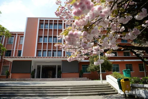 凈化環(huán)境美麗校園作文,贊美生態(tài)環(huán)境美麗的作文,描寫美麗環(huán)境的作文