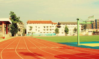 寫校園風景線作文400