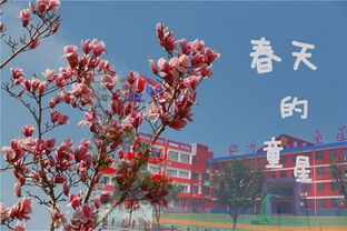 校園里百花爭(zhēng)艷的作文