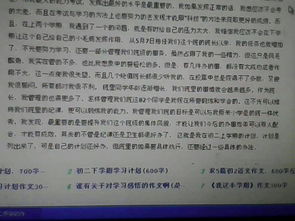 關(guān)于新校園的風(fēng)景的作文700字