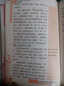 作文,最美,老師,校園