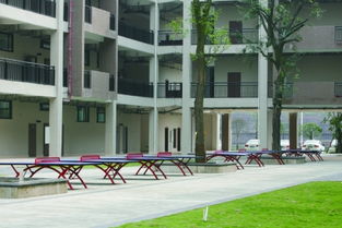 育才學校校園的一角作文