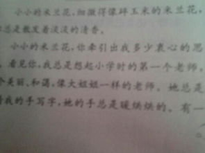 我的校園教師作文600字