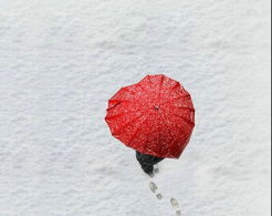 小學(xué)生作文冬天下雪的校園