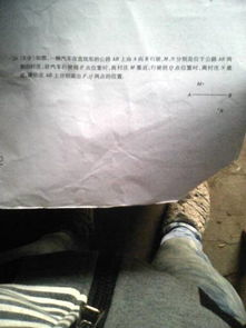 作文,籃球比賽,校園