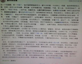 校園里的花兒作文九百字