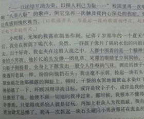 作文,對不起,校園